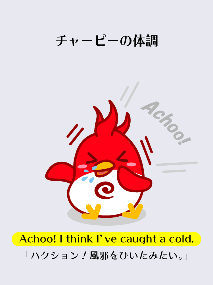 チャーピーの体調